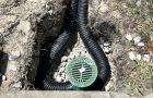 Black corrugated drain pipes connecting to a green round drain grate and catch basin in a gravel-filled trench