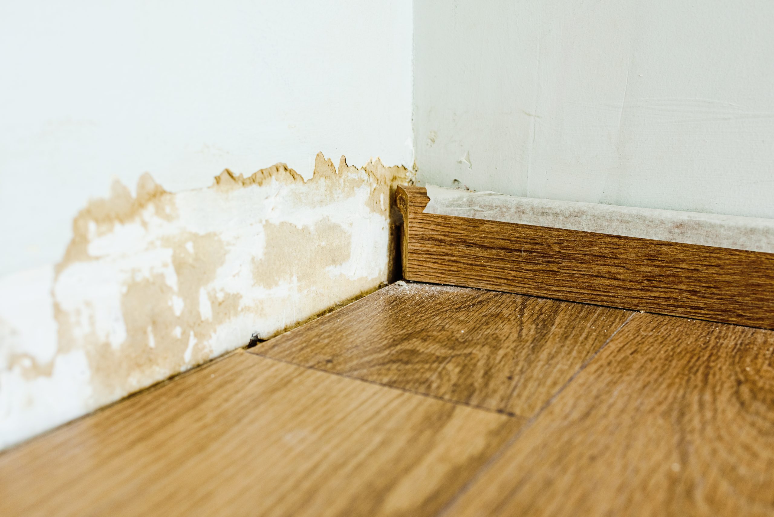 Skirting Board On A basement Wall Damaged By leak.
