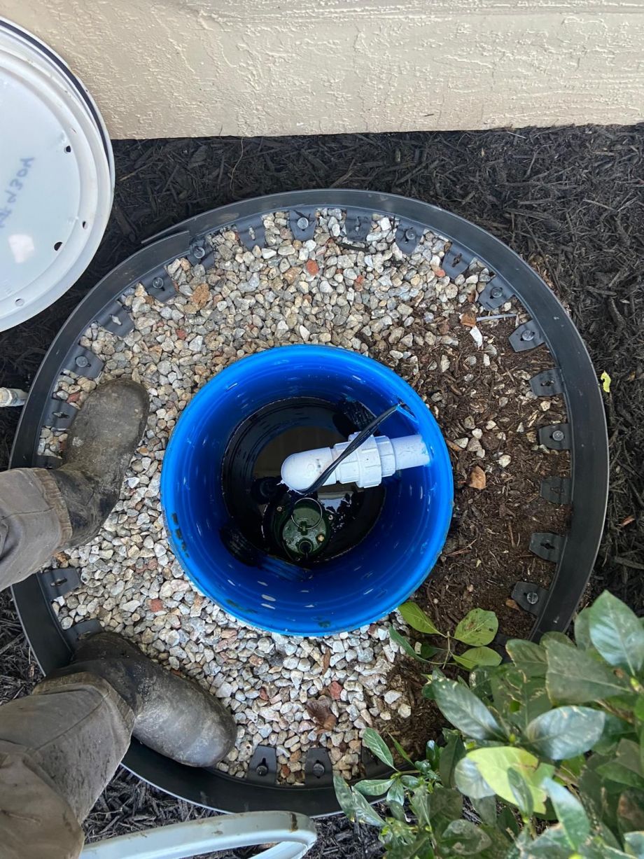 Photo 2025 03 08 19 27 53